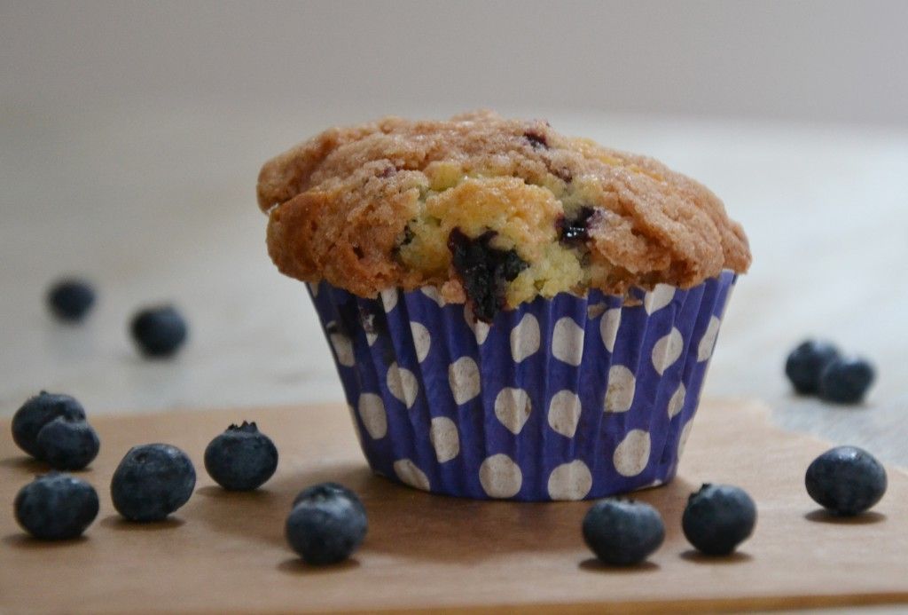 Blueberrymuffins