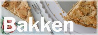 Bakken button 2