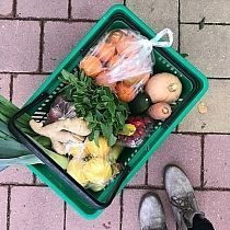 Plantaardig eten recepten